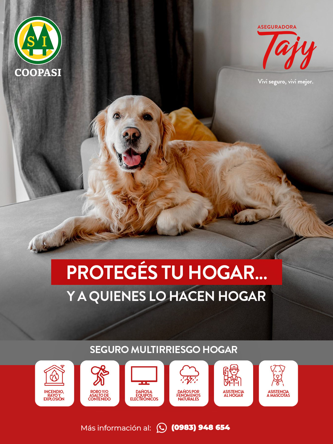Seguro Tajy 3